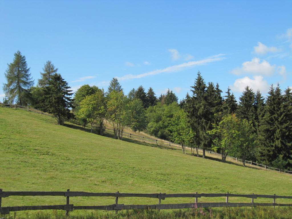 Ferienanlage Harzfreunde Allrode Exterior foto